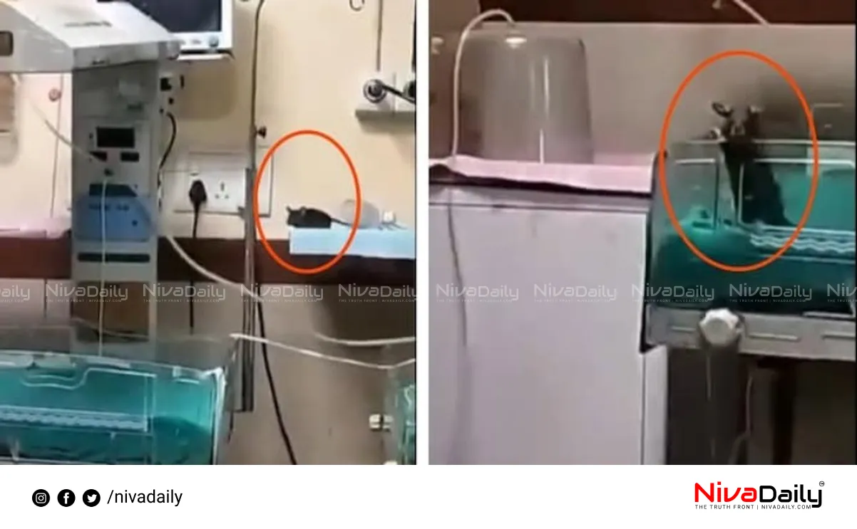 Indore hospital rat bite