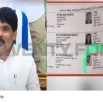 Double Vote Allegations