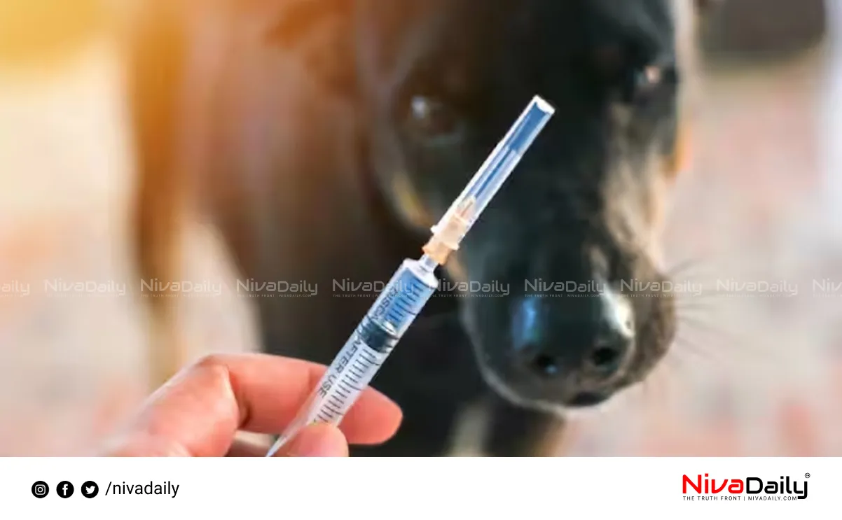 Rabies vaccination Kerala