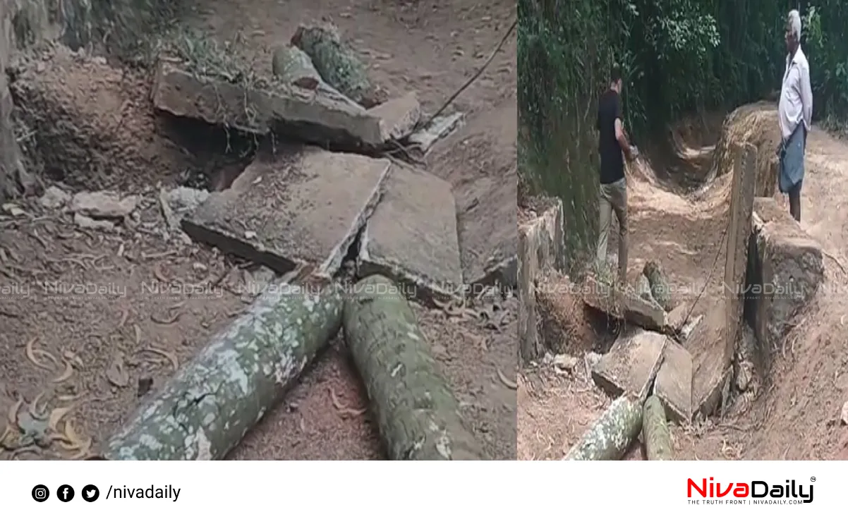 Kattakada tree accident