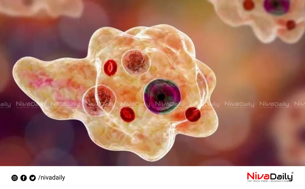 amebic meningoencephalitis