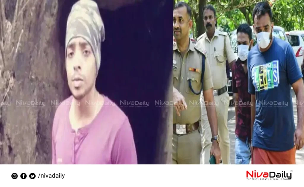 Vijil murder case