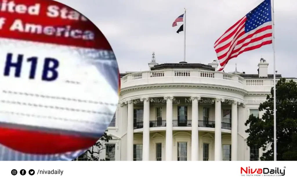 H1B Visa Misuse