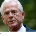 Peter Navarro India