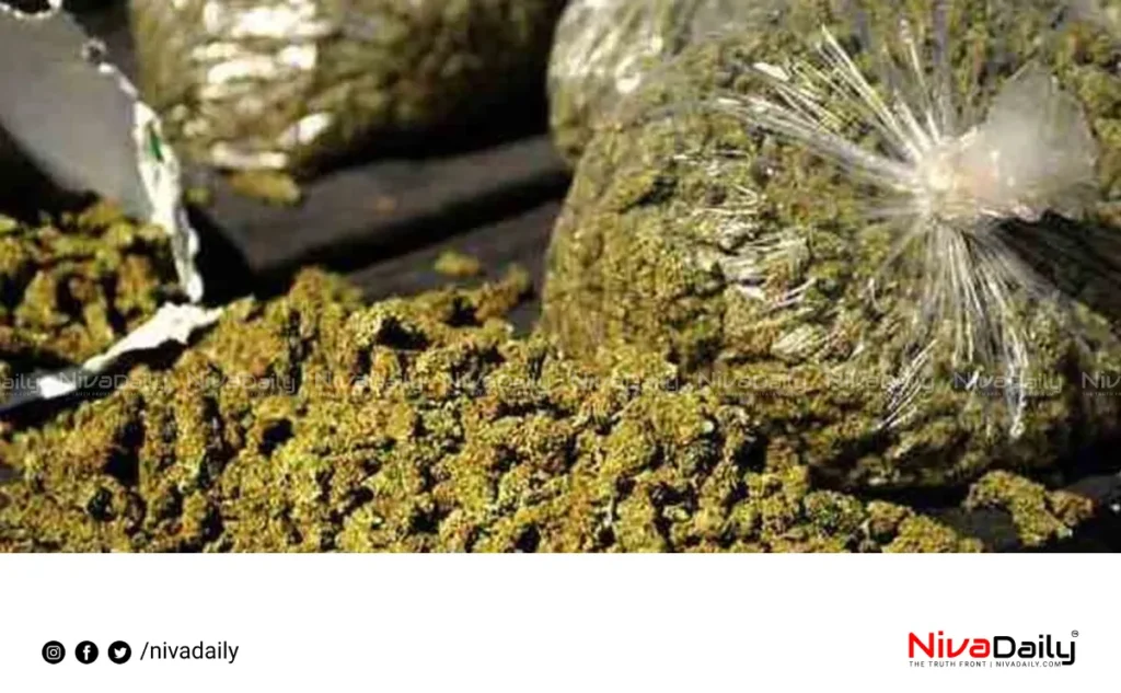 Cannabis at Railway Station