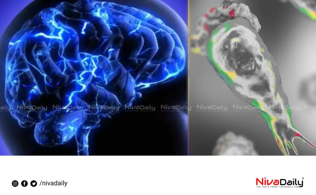 Amebic Encephalitis Kerala
