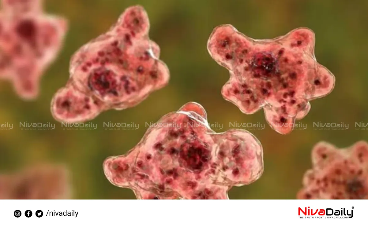 Amebic Encephalitis Outbreak