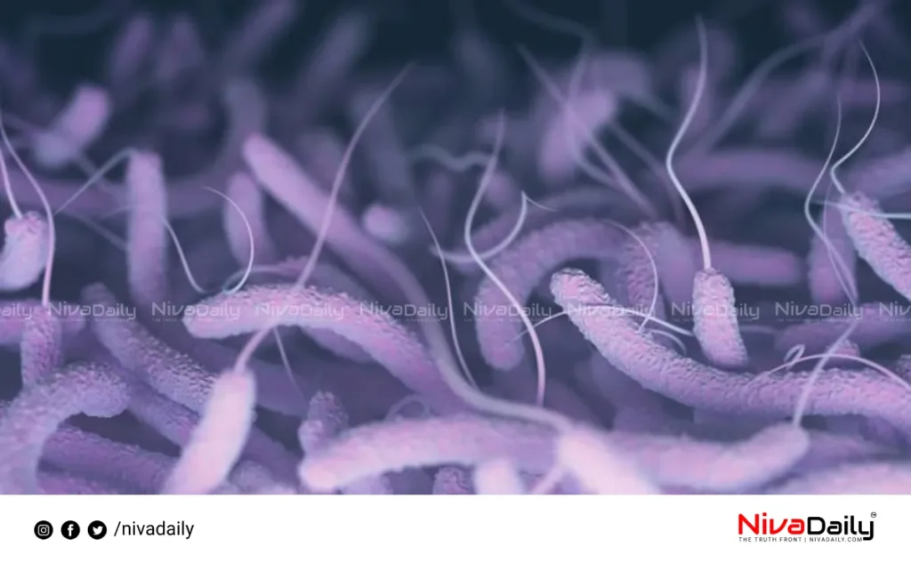 Cholera outbreak Kerala