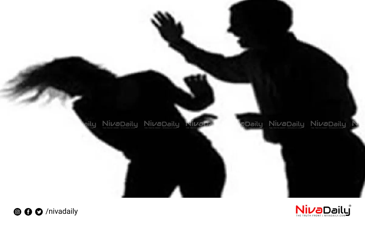 domestic violence case
