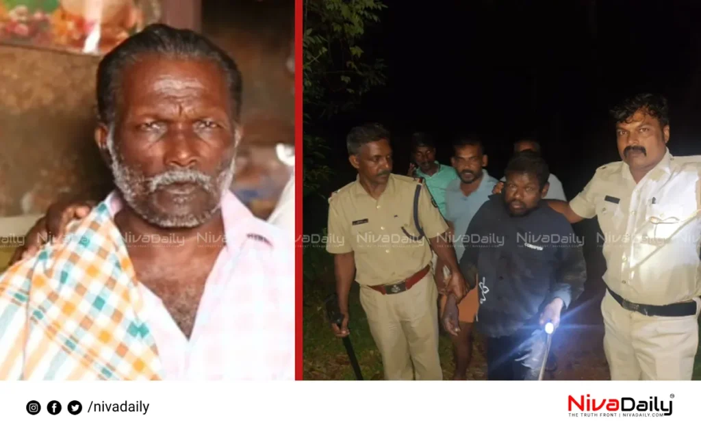 Elderly Man Murder