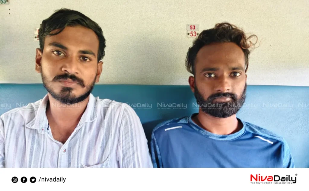 Cyber Fraud Case
