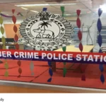 cyber fraud case