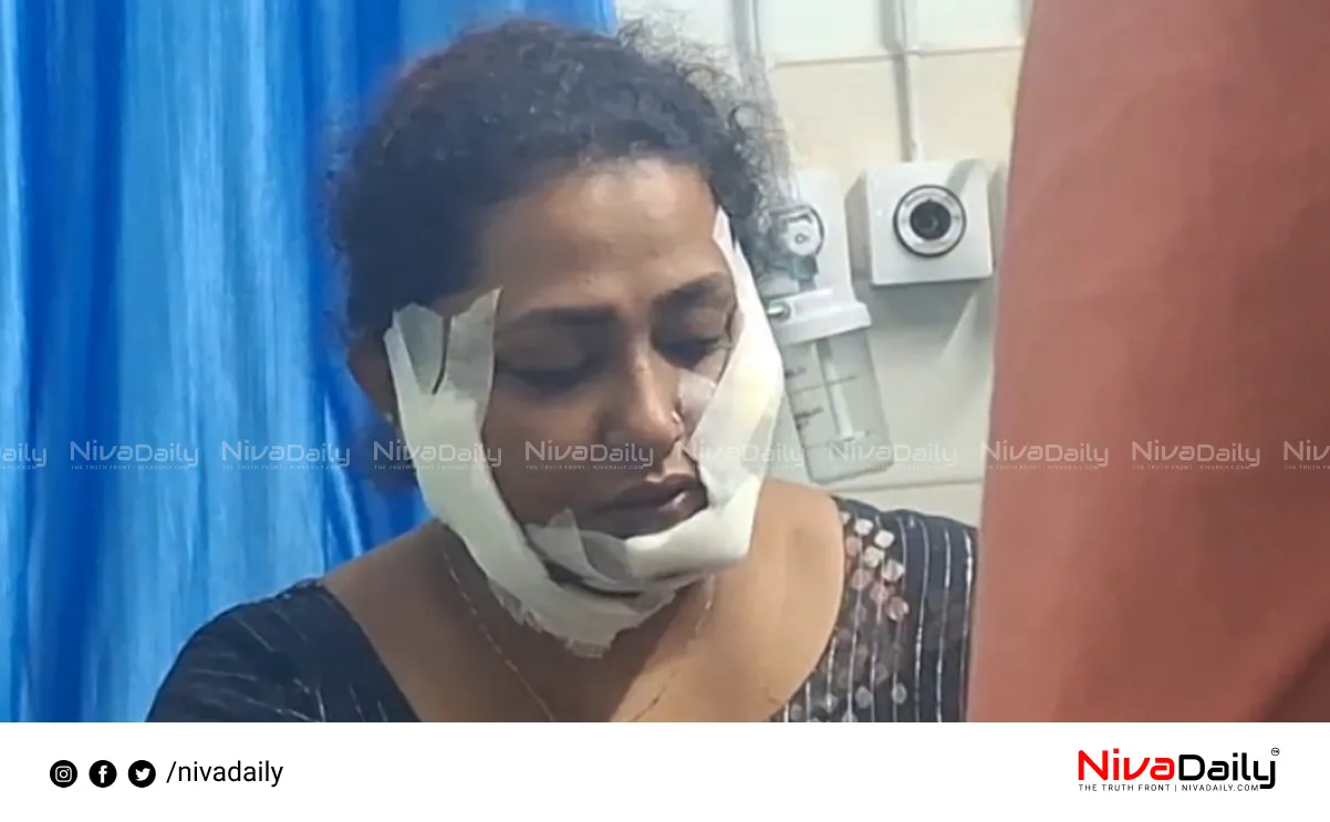 Ernakulam wife attack
