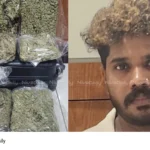 Hybrid Cannabis Seized