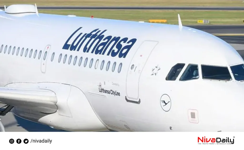 plane stabbing incident