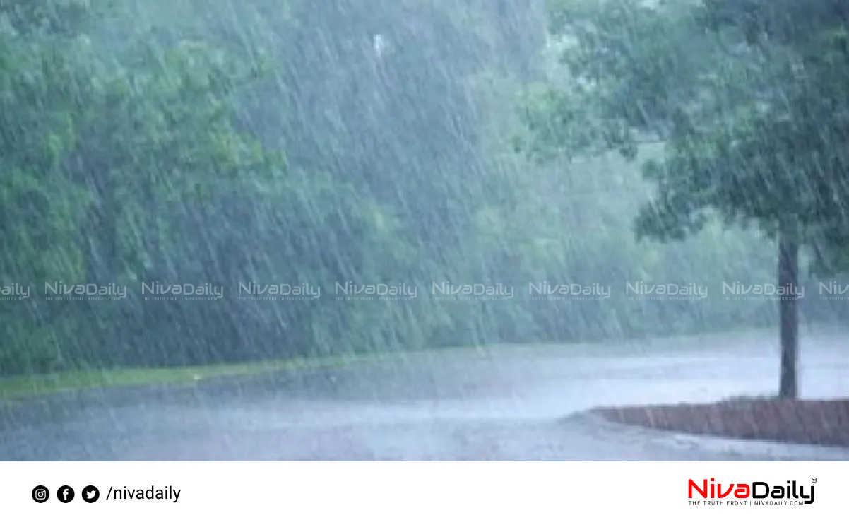 Kerala monsoon rainfall