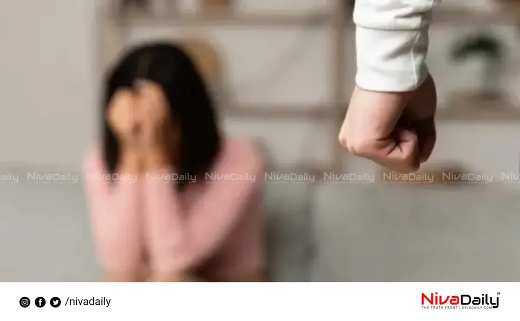 domestic violence case