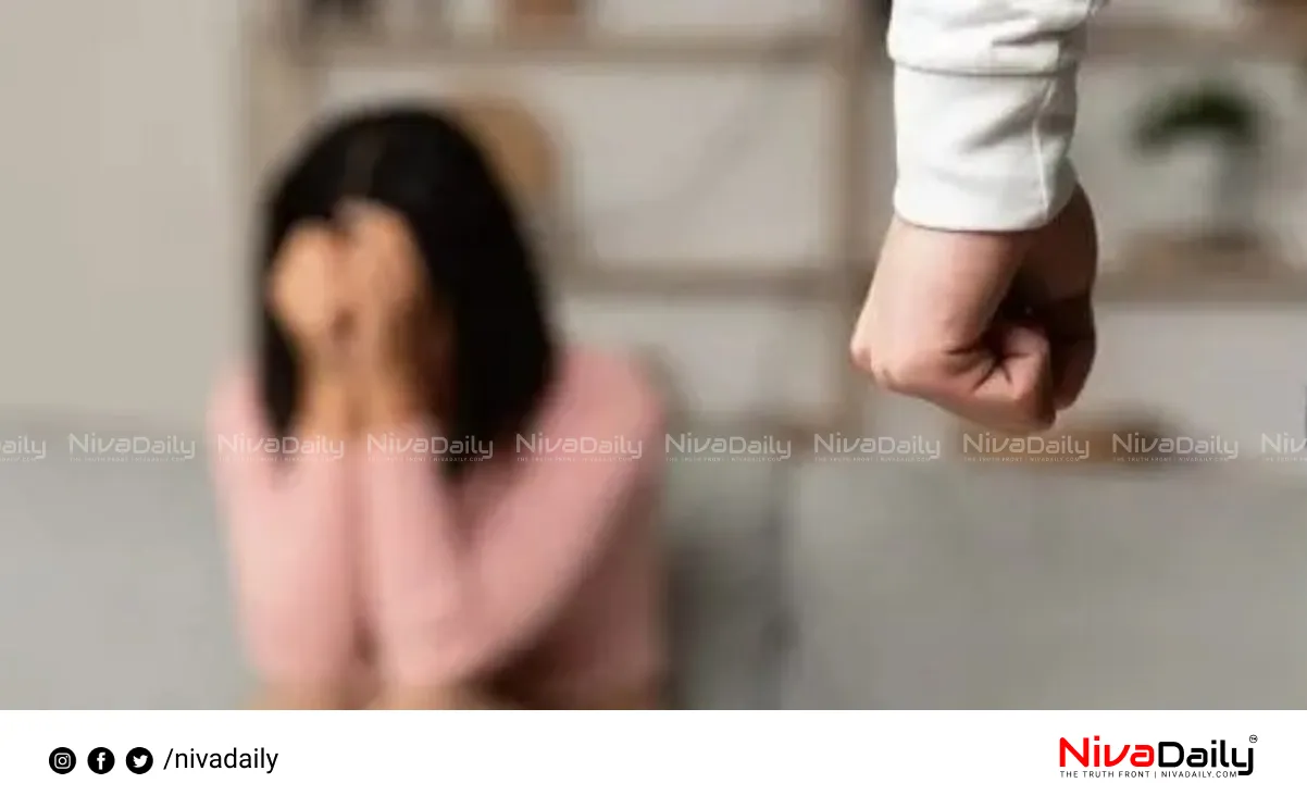 domestic violence case