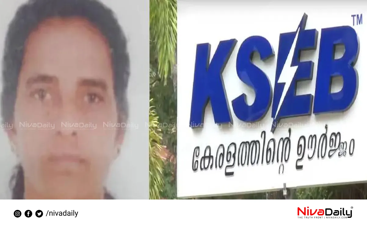 KSEB officials action