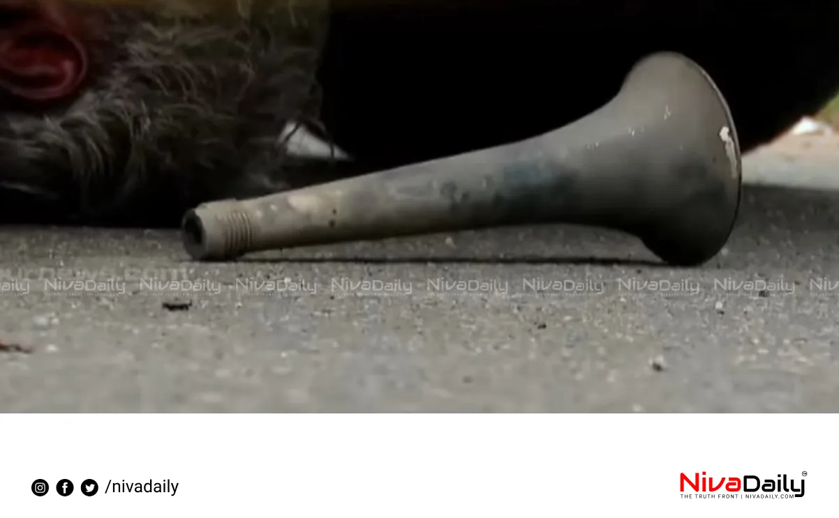 Air Horn Seizure