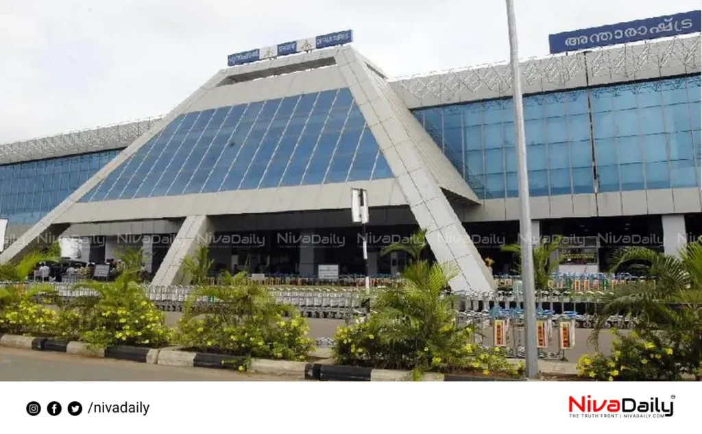 Karipur hybrid cannabis