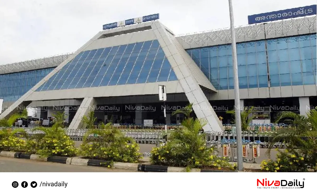 Karipur hybrid cannabis