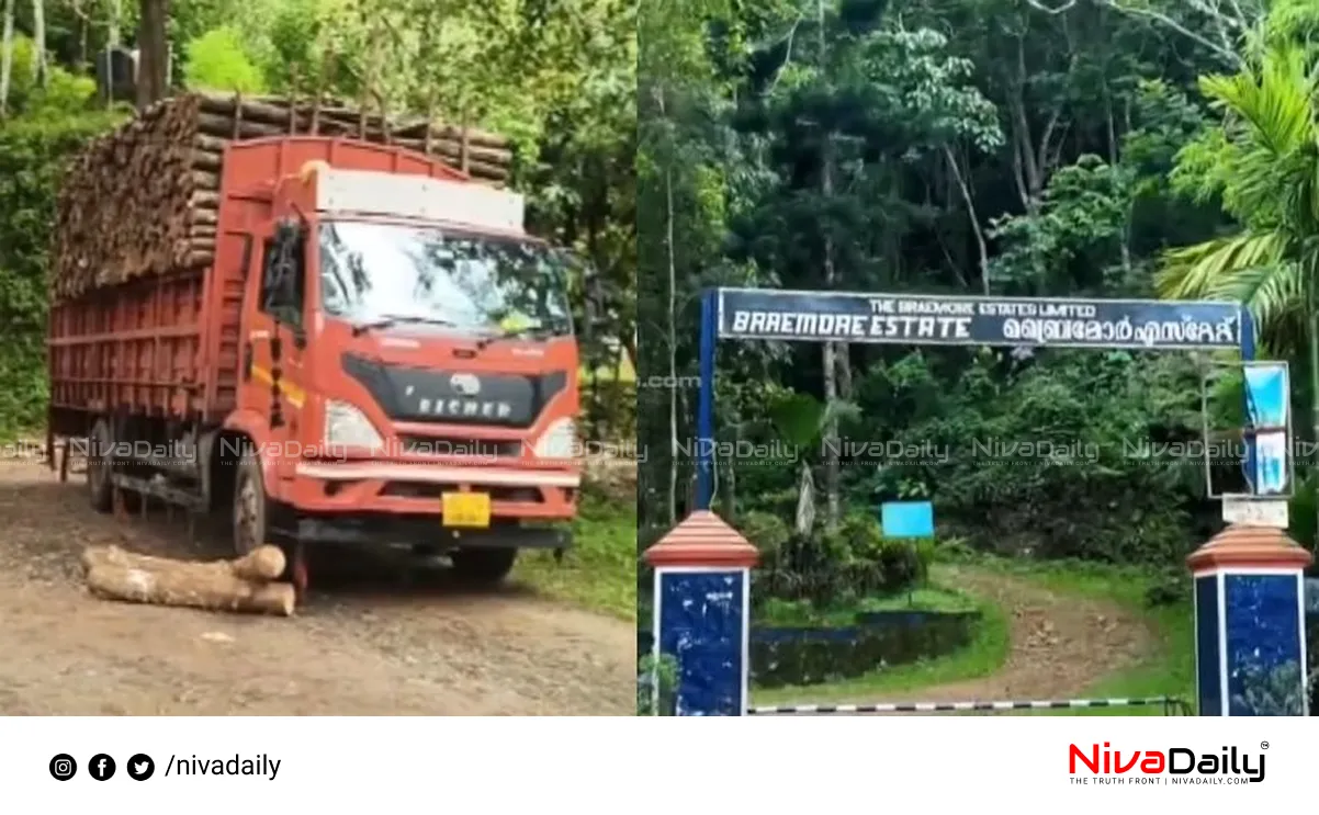 Palode estate theft