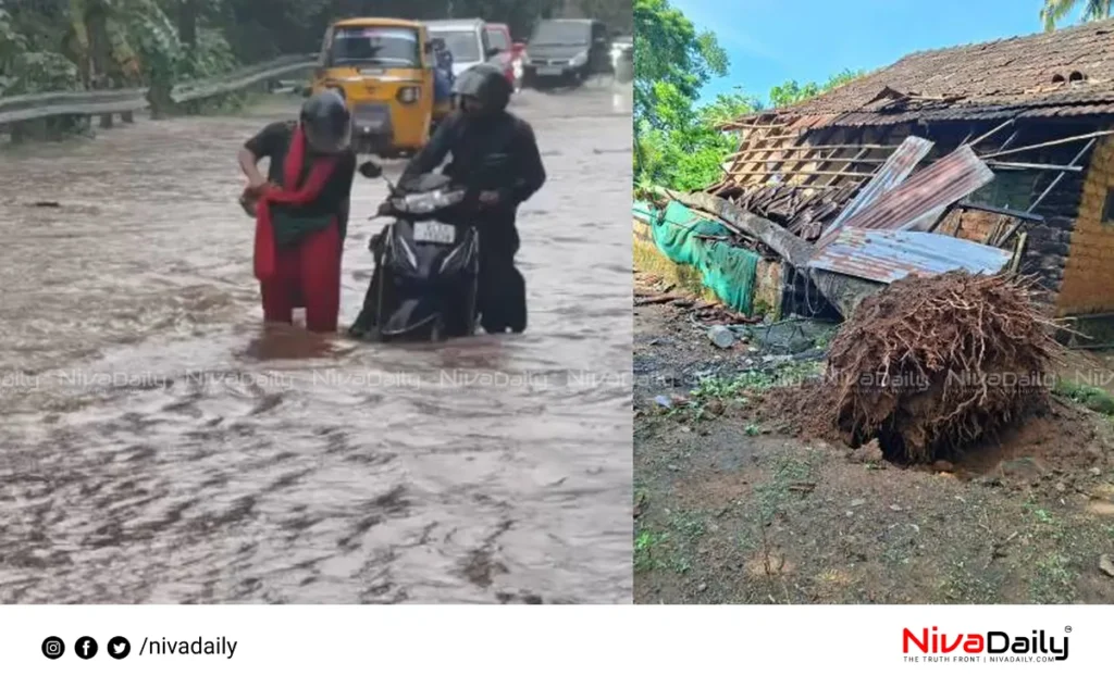 Kerala monsoon rainfall