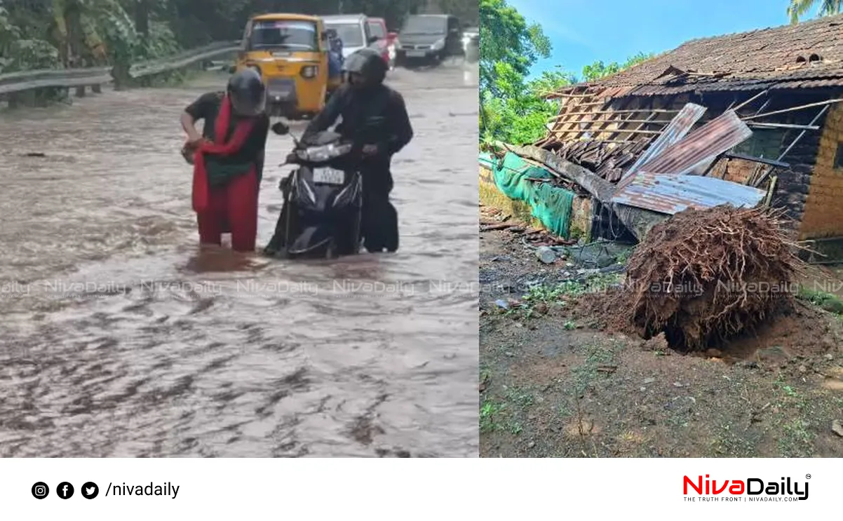 Kerala monsoon rainfall