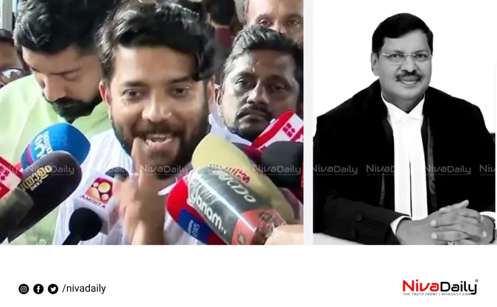 chief justice shoe attack