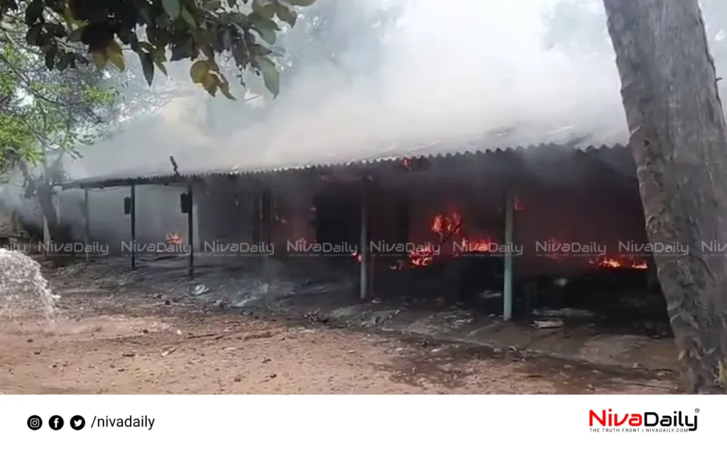 Andhra Pradesh firecracker factory