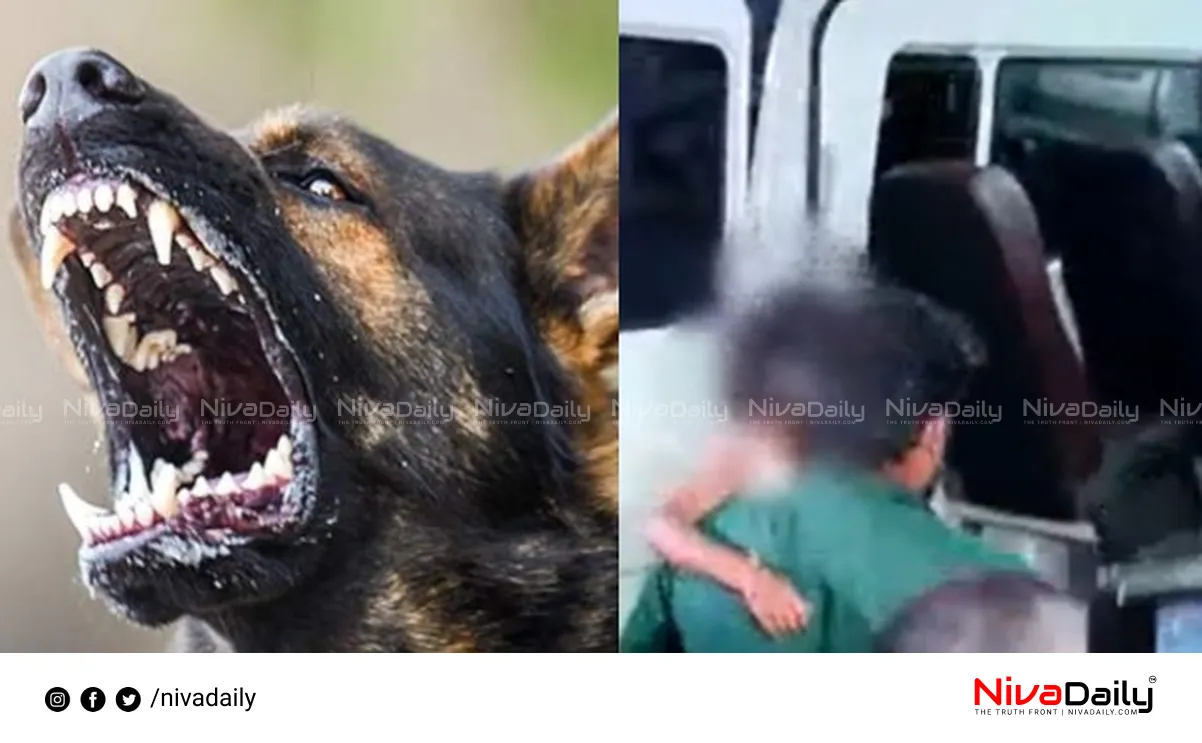 Stray Dog Attack
