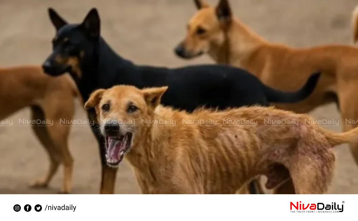 Stray Dog Menace