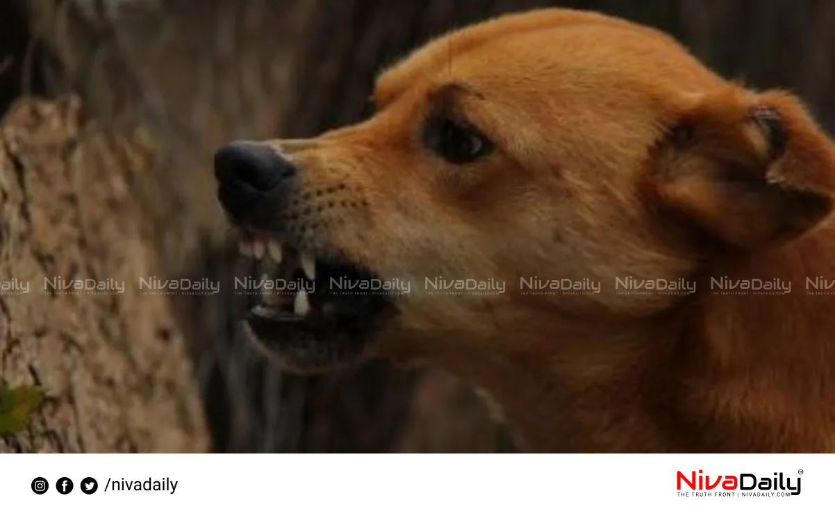 stray dog attack