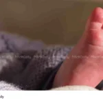 newborn baby killed