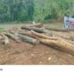 Samastha tree cutting issue
