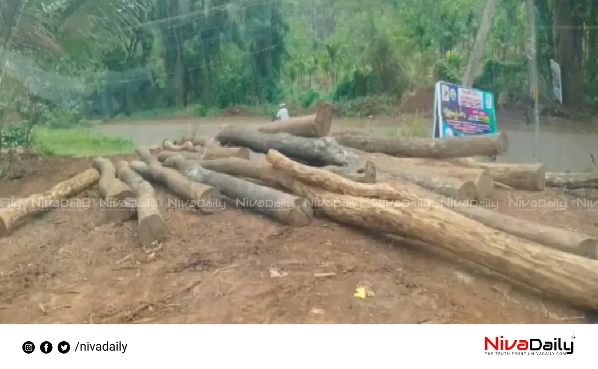 Samastha tree cutting issue