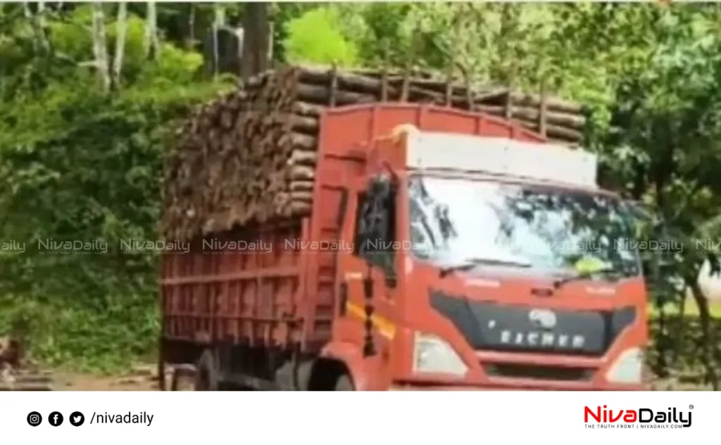 illegal tree felling