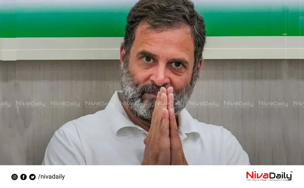 Rahul Gandhi criticism