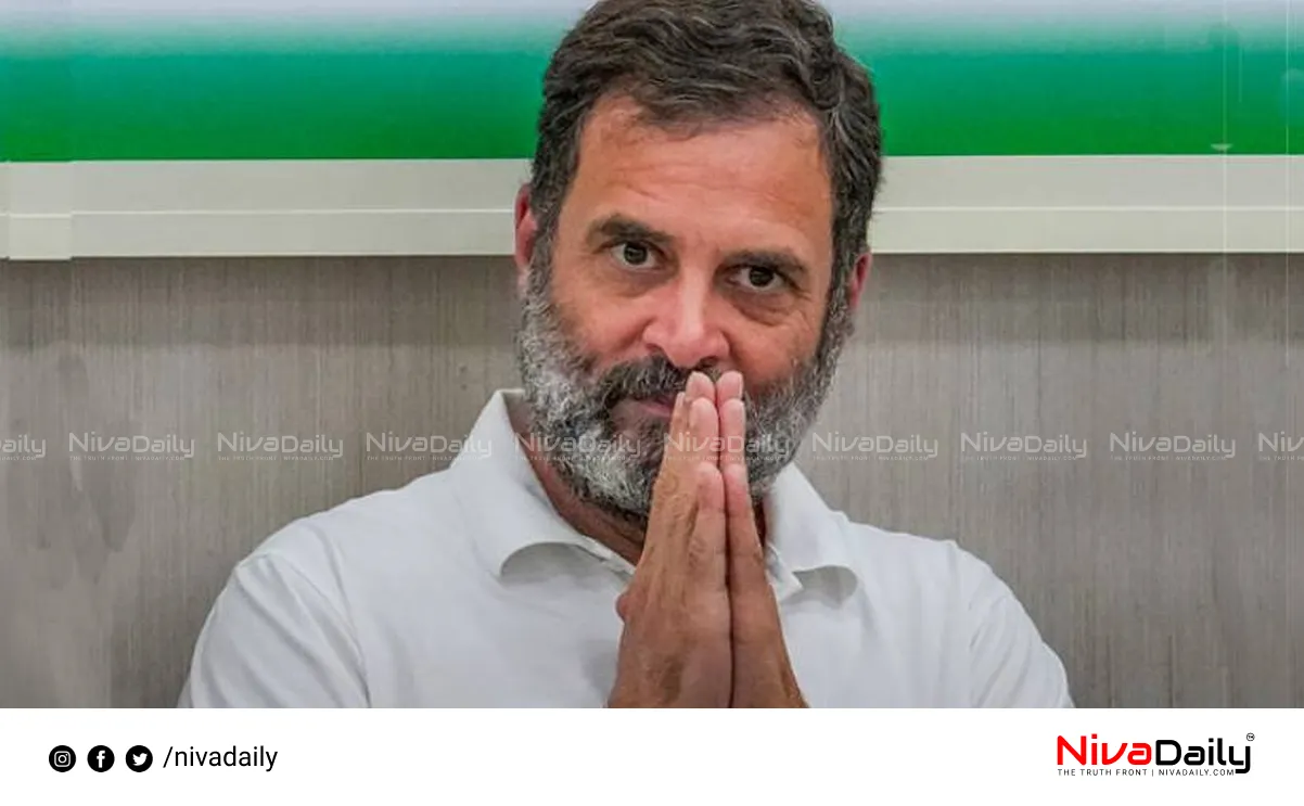 Rahul Gandhi criticism