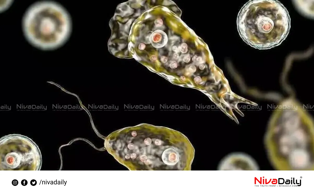 Amebic Meningoencephalitis Alappuzha