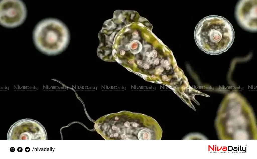 Amoebic Encephalitis Kochi