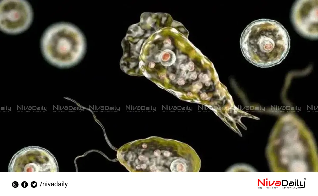 Amoebic Encephalitis Kochi