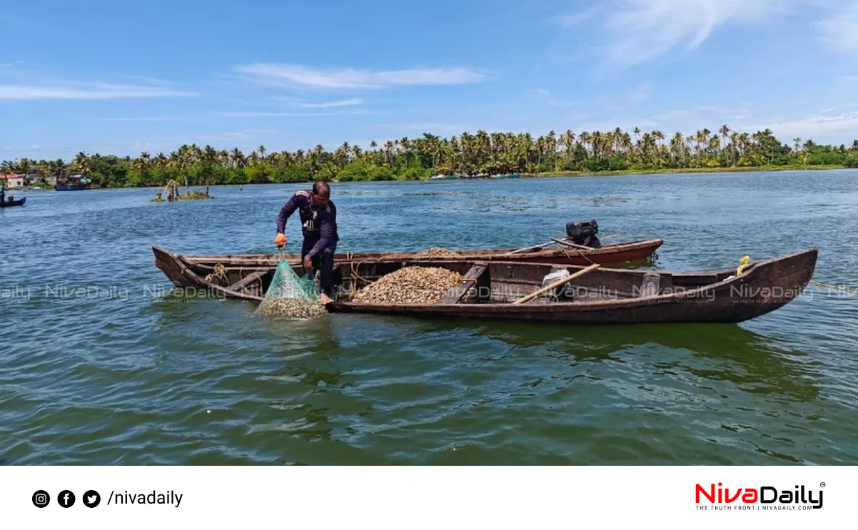 Ashtamudi shell farming