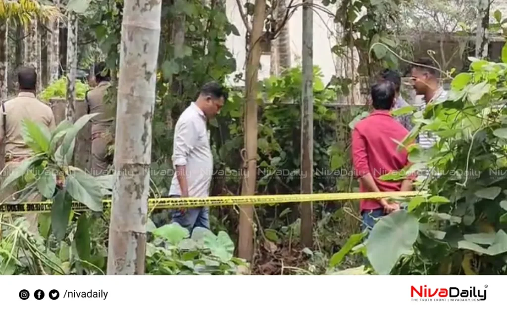 Ernakulam bones skull found