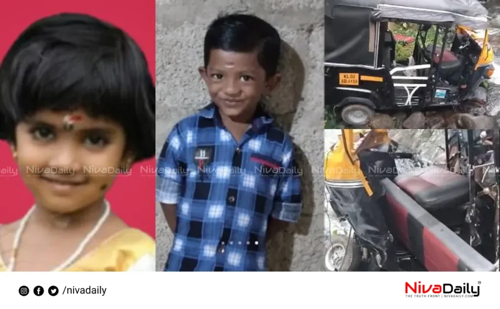 Pathanamthitta auto accident