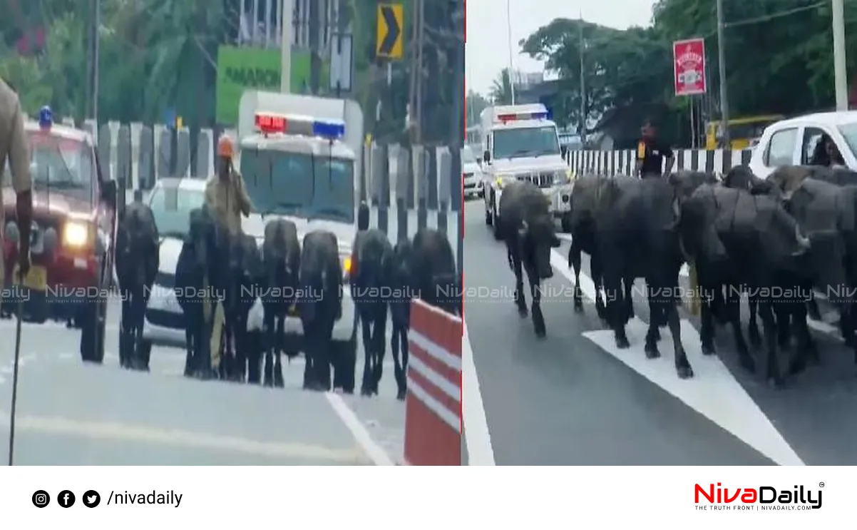 Kasaragod traffic disruption