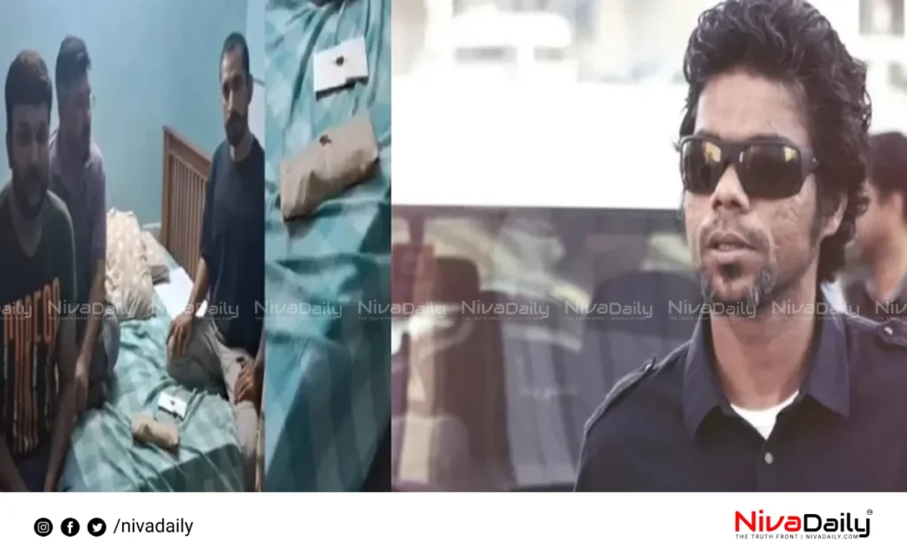 Hybrid Cannabis Case