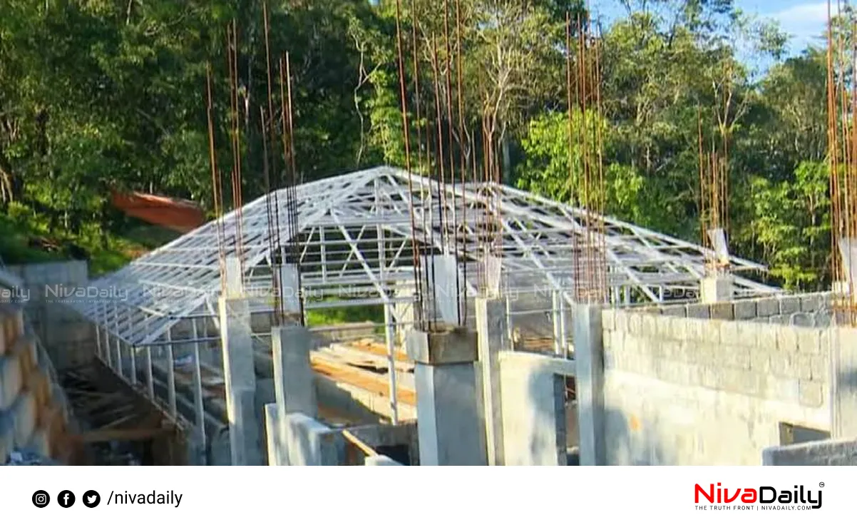 stray dog sterilization