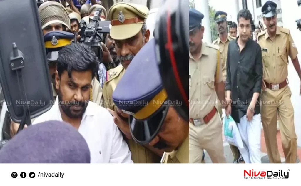 actress assault case